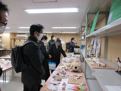 理科教員がいのちの博物館を見学