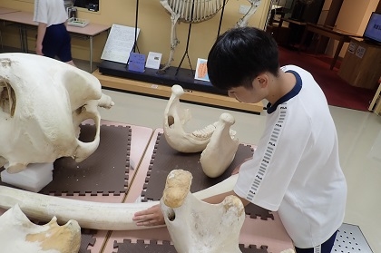 いのちの博物館に田名中学校が来館
