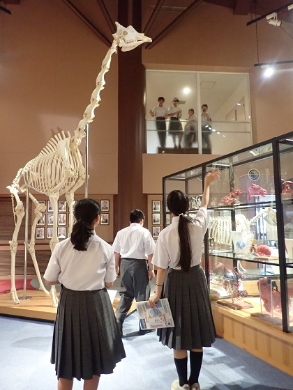 いのちの博物館に矢口中学校が来館