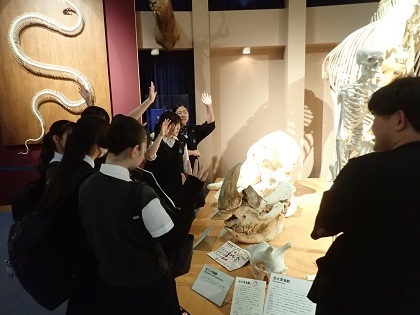 北豊島高等学校の1年生がいのちの博物館をご見学