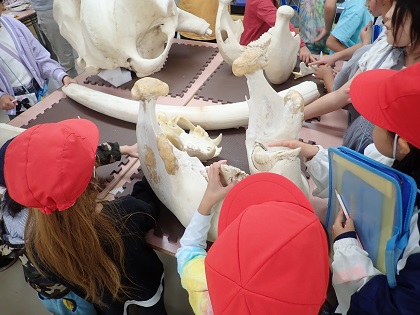 いのちの博物館で根小屋小学校SDGsスタディツアー
