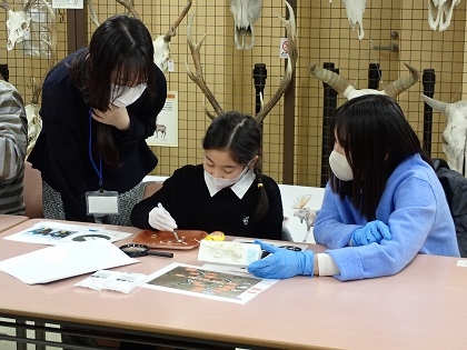 いのちの博物館10周年記念学生企画「じぶんで骨格標本をつくってみよう」