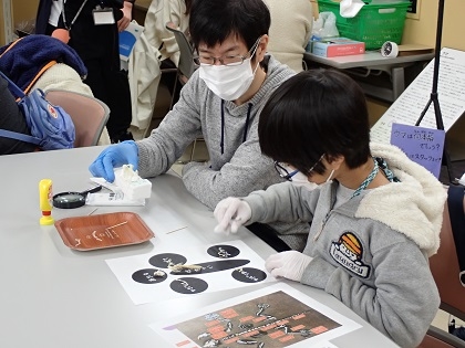 いのちの博物館10周年記念学生企画「じぶんで骨格標本をつくってみよう」