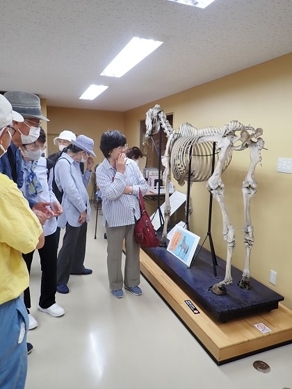 おやま歩こう会の皆様がいのちの博物館を来館