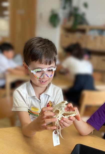 ブリティッシュスクールイン東京に標本貸出