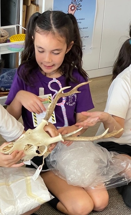 ブリティッシュスクールイン東京に標本貸出