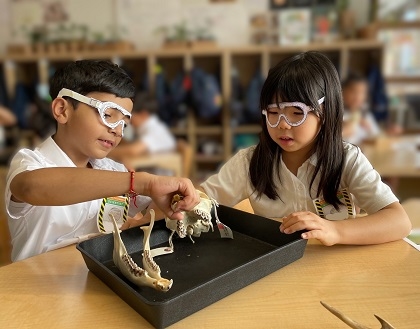 ブリティッシュスクールイン東京に標本貸出