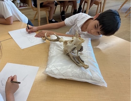 ブリティッシュスクールイン東京に標本貸出