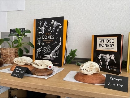 ブリティッシュスクールイン東京に標本貸出