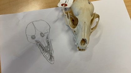 ブリティッシュスクールイン東京に標本貸出