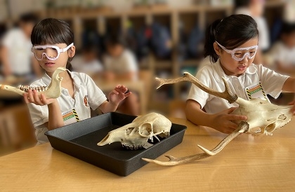 【学習教材(標本類)の貸出】利用者の声（ブリティッシュスクールイン東京）