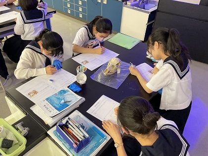 いのちの博物館標本貸し出し（大妻多摩中学高等学校）