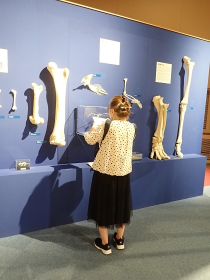 いのちの博物館に絵手紙サークルが来館