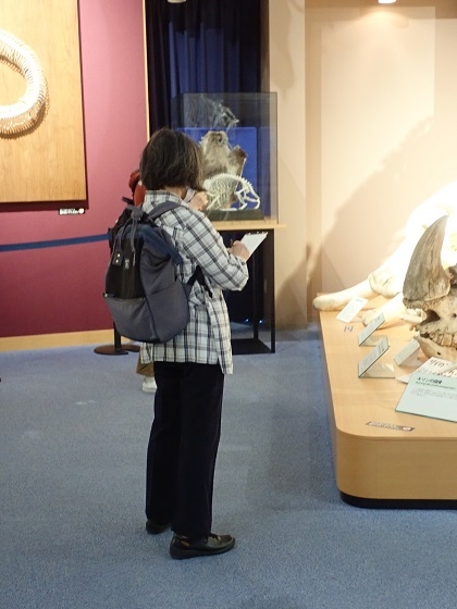 いのちの博物館に絵手紙サークルが来館