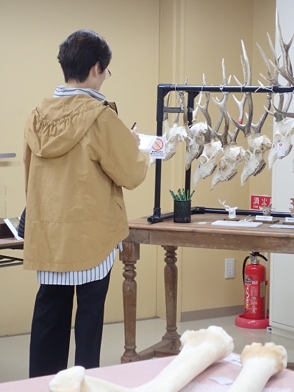 いのちの博物館に絵手紙サークルが来館