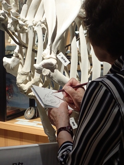 いのちの博物館に絵手紙サークルが来館