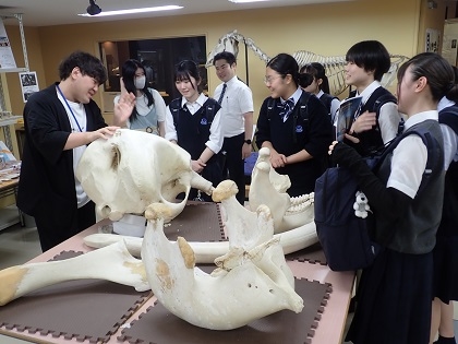 北豊島高等学校の1年生がいのちの博物館をご見学