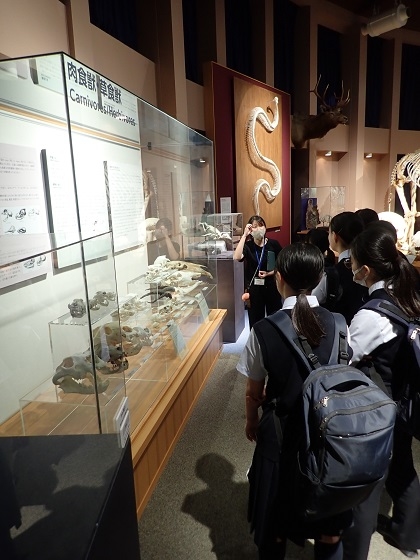 北豊島高等学校の1年生がいのちの博物館をご見学