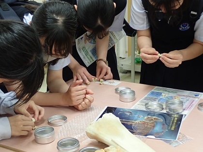 北豊島高等学校の1年生がいのちの博物館をご見学
