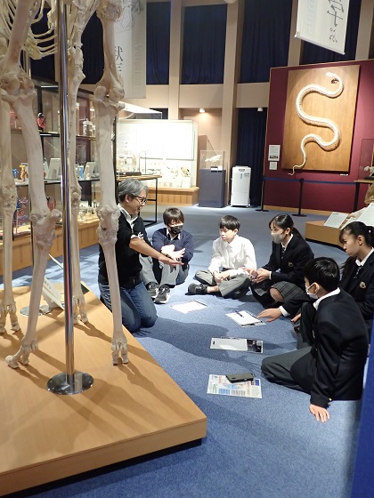 いのちの博物館に横浜創英中1年生が来館