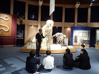 いのちの博物館に横浜創英中1年生が来館