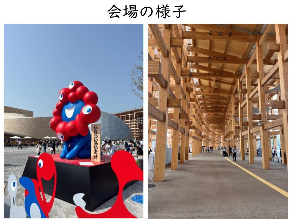 大阪関西万博SDGzoo「手で見るいのち」レポート