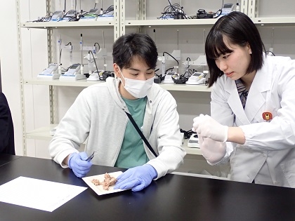 いのちの博物館中高生向けワークショップ