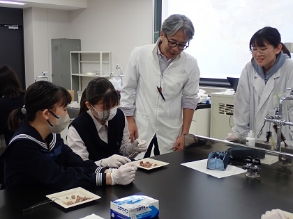 いのちの博物館中高生向けワークショップ