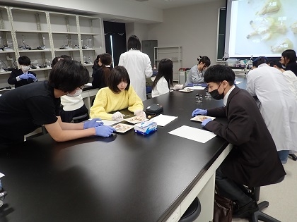 いのちの博物館中高生向けワークショップ