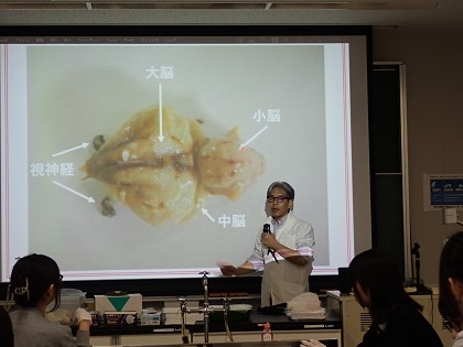 いのちの博物館中高生向けワークショップ