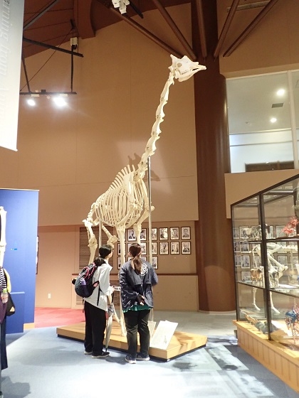 いのちの博物館中高生向けワークショップ