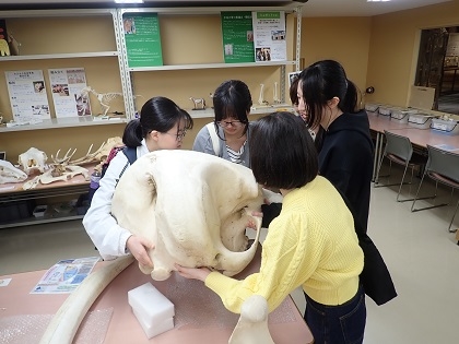いのちの博物館中高生向けワークショップ