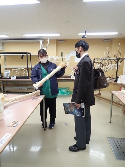 いのちの博物館中高生向けワークショップ