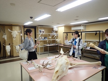 いのちの博物館中高生向けワークショップ