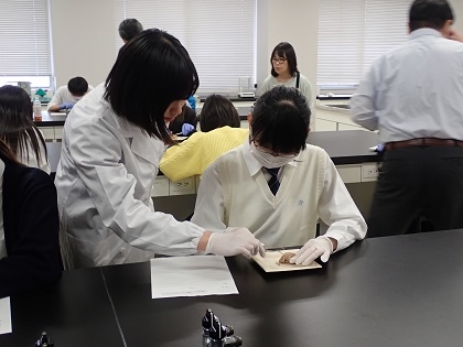 いのちの博物館中高生向けワークショップ