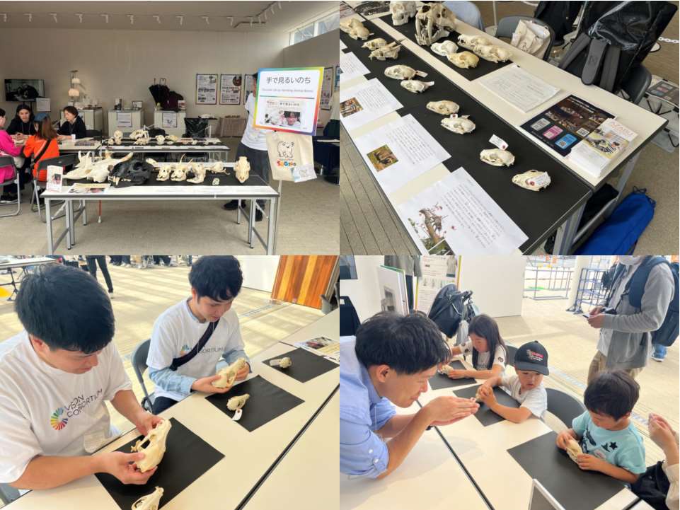 大阪関西万博SDGzoo「手で見るいのち」レポート