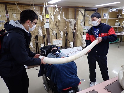 相模原市立中央中学校がいのちの博物館に来館