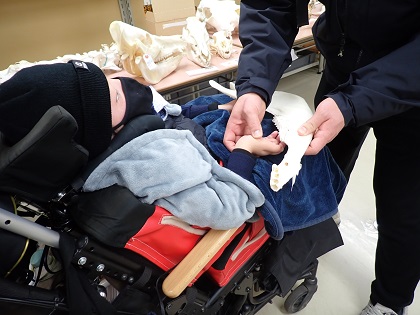 相模原市立中央中学校がいのちの博物館に来館