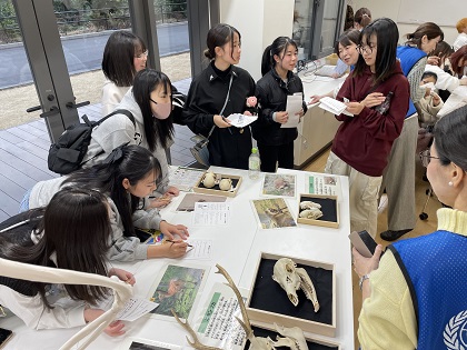 いのちの博物館が標本貸出