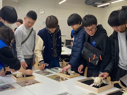 いのちの博物館が標本貸出