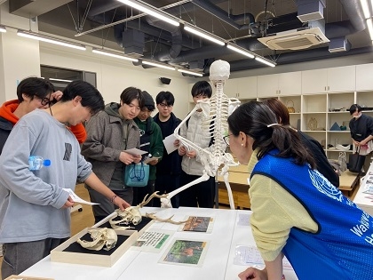 いのちの博物館が標本貸出