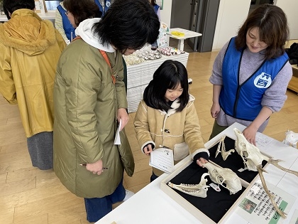 いのちの博物館が標本貸出