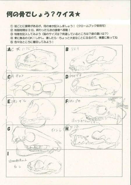 海老名市立大谷中学校_1.jpg