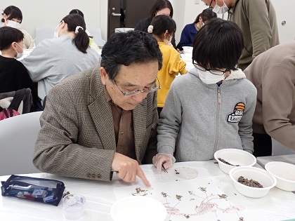 いのちの博物館フクロウワークショップ