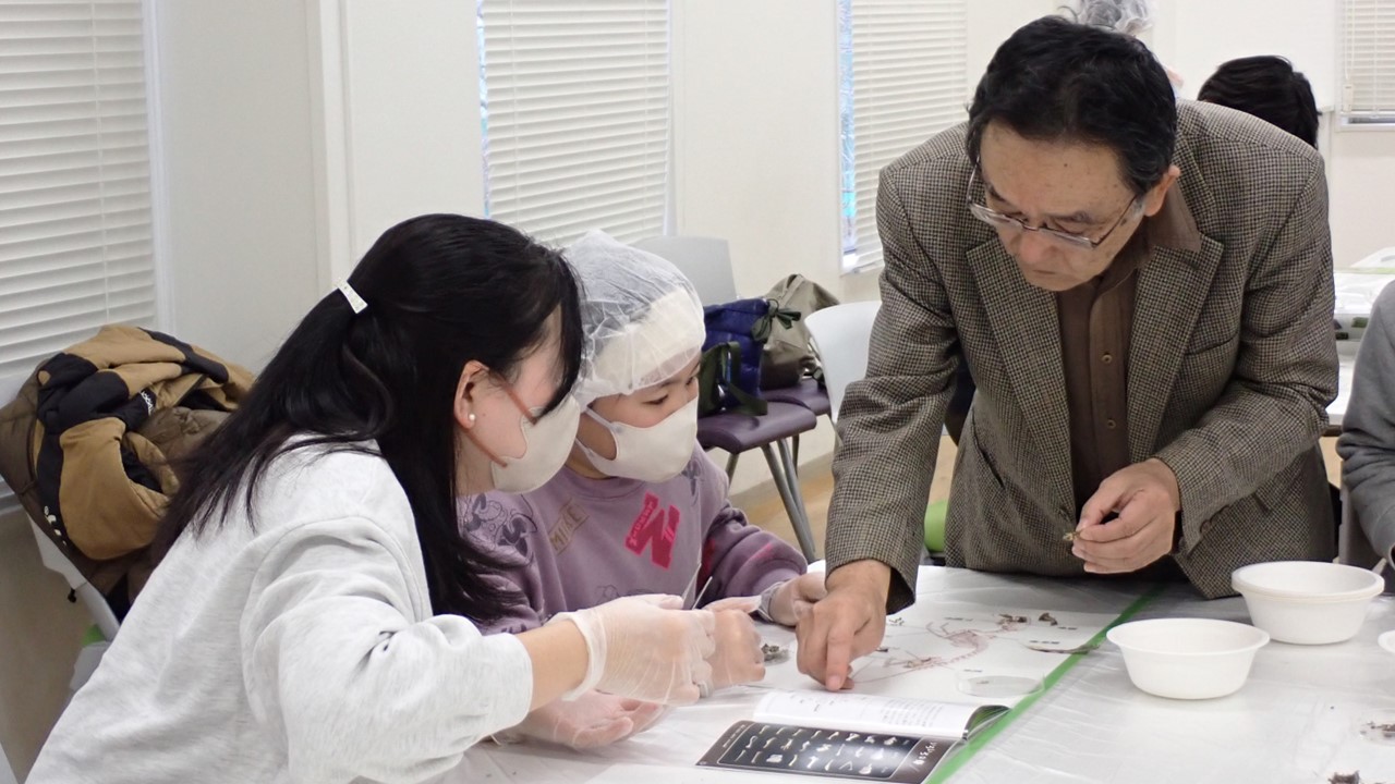 フクロウの食性分析ワークショップを開催しました
