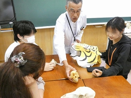 　【学習教材(標本類)の貸出】利用者の声(相模原市立大野南中学校分校夜間学級)