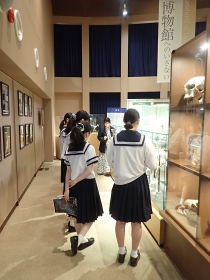 神奈川学園中学・高等学校の中学3年生がいのちの博物館を来館