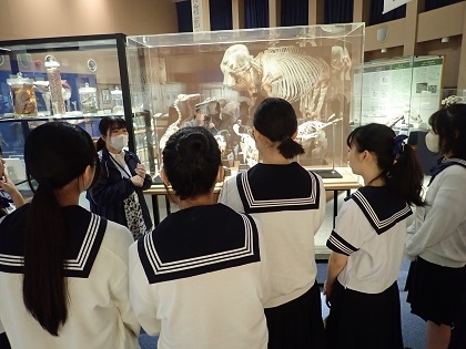 神奈川学園中学・高等学校の中学3年生がいのちの博物館を来館
