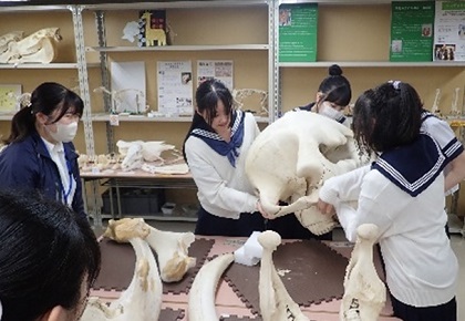 神奈川学園中学・高等学校の中学3年生がいのちの博物館を来館
