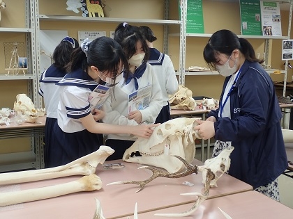 いのちの博物館だより